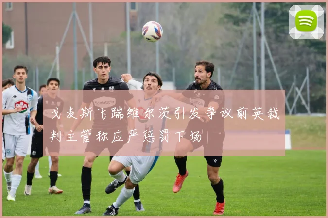 戈麦斯飞踹维尔茨引发争议前英裁判主管称应严惩罚下场