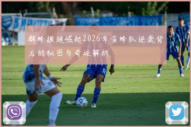 群蜂振翅崛起2026年黄蜂队逆袭背后的秘密与奇迹解析