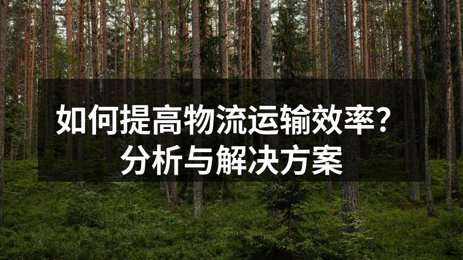 高效物流运输流程示意图