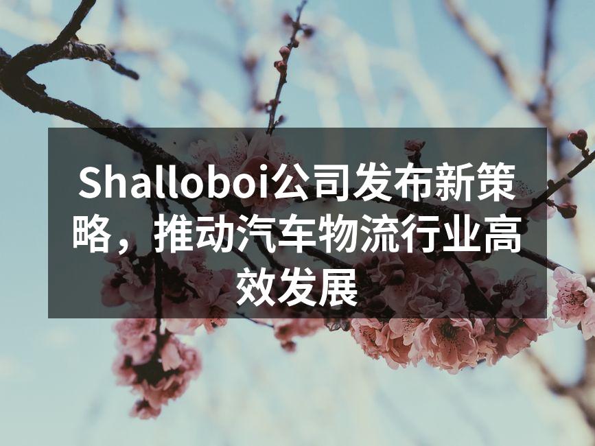 Shalloboi新物流中心的运作现场